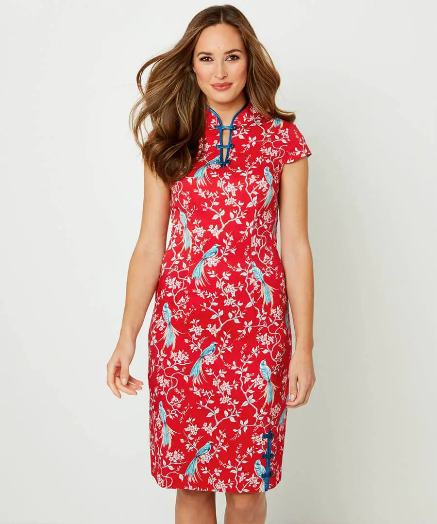 Elegant Mandarin Collar Dress
