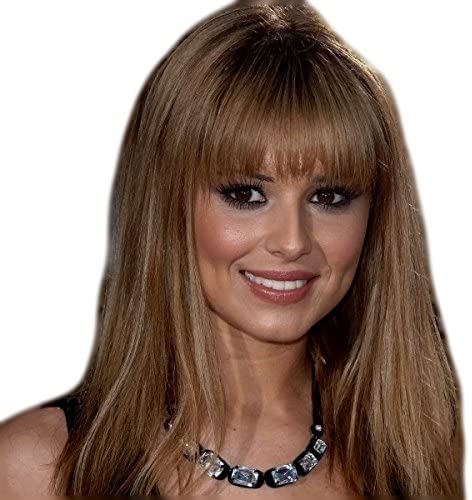 ONE PIECE CLIP IN FRINGE BANGS HAIRPIECE IN NICE LIGHT BROWN COLOUR